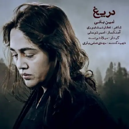دانلود اهنگ امین بانی دریغ