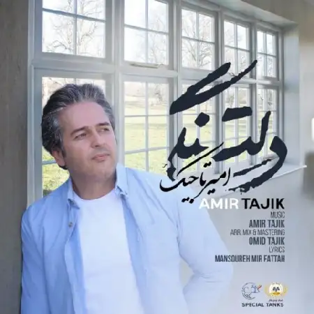 دانلود اهنگ امیر تاجیک دلتنگی