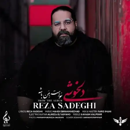 دانلود اهنگ رضا صادقی دلخوشی