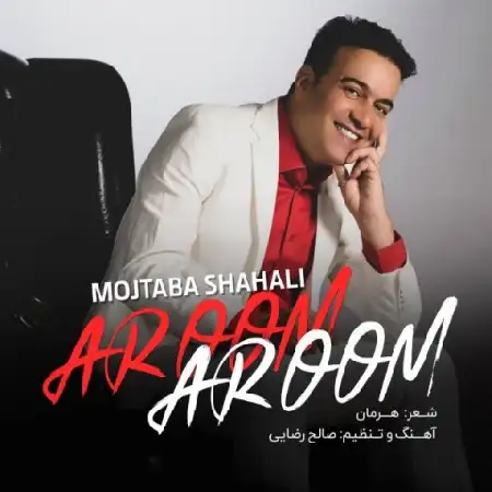 دانلود اهنگ مجتبی شاه علی آروم آروم