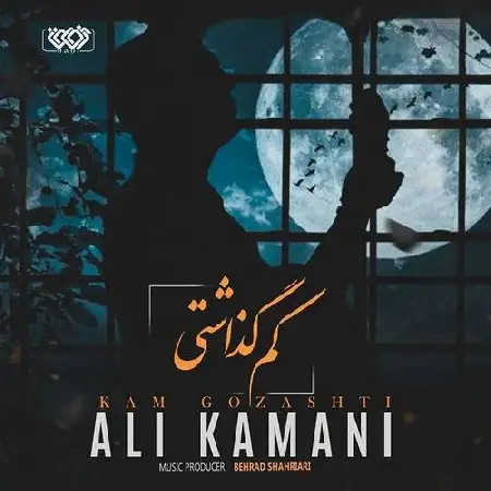 دانلود اهنگ علی کمانی کم گذاشتی