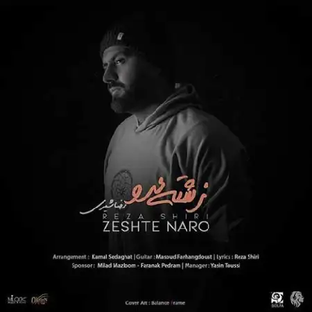 دانلود اهنگ رضا شیری زشته نرو