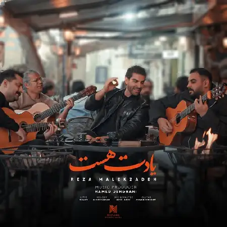 دانلود اهنگ رضا ملک زاده یادت هست
