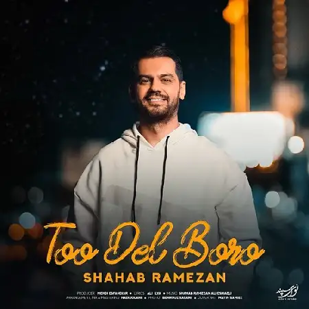 دانلود اهنگ شهاب رمضان تو دل برو