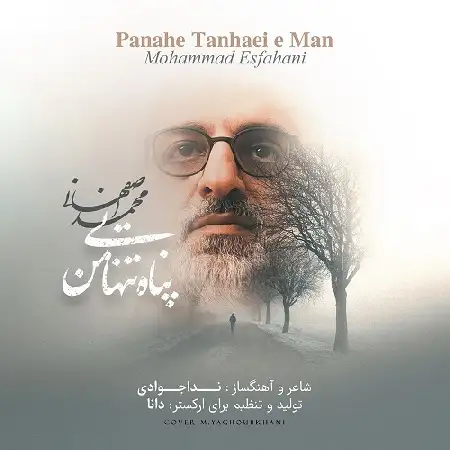دانلود اهنگ محمد اصفهانی پناه تنهایی من