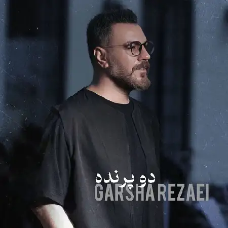 دانلود اهنگ گرشا رضایی دو پرنده