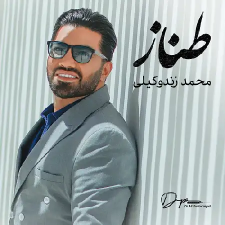 دانلود اهنگ محمد زندوکیلی طناز