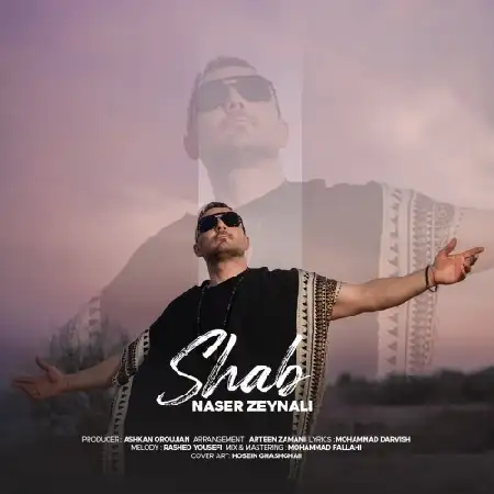 دانلود اهنگ ناصر زینلی شب