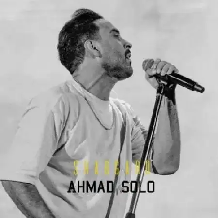 دانلود اهنگ احمد سلو شبگرد