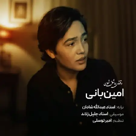 دانلود آلبوم تک اهنگ ها از امین بانی