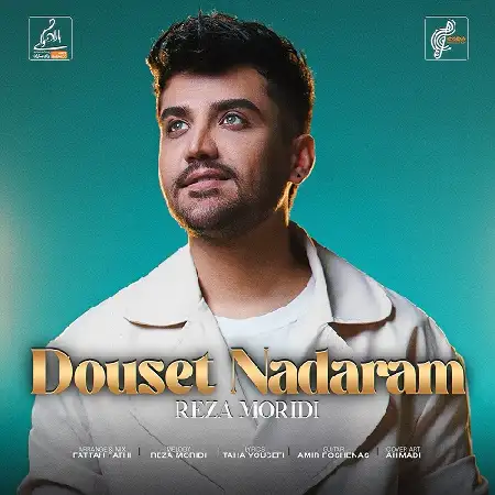 دانلود اهنگ رضا مریدی دوست ندارم